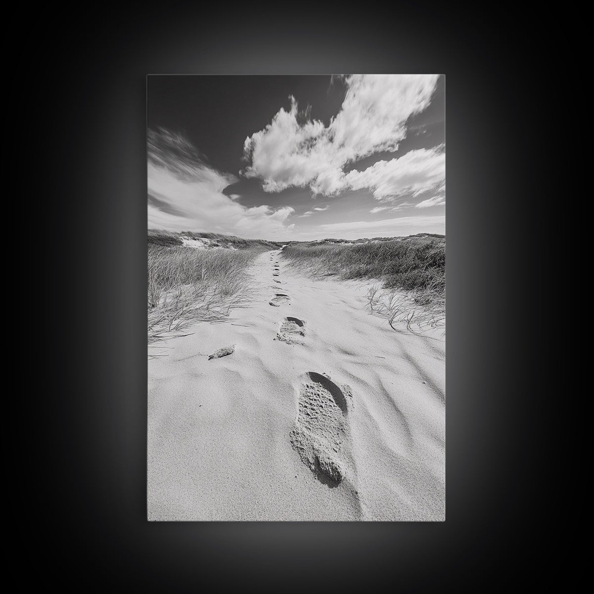 Desert Footprints Path