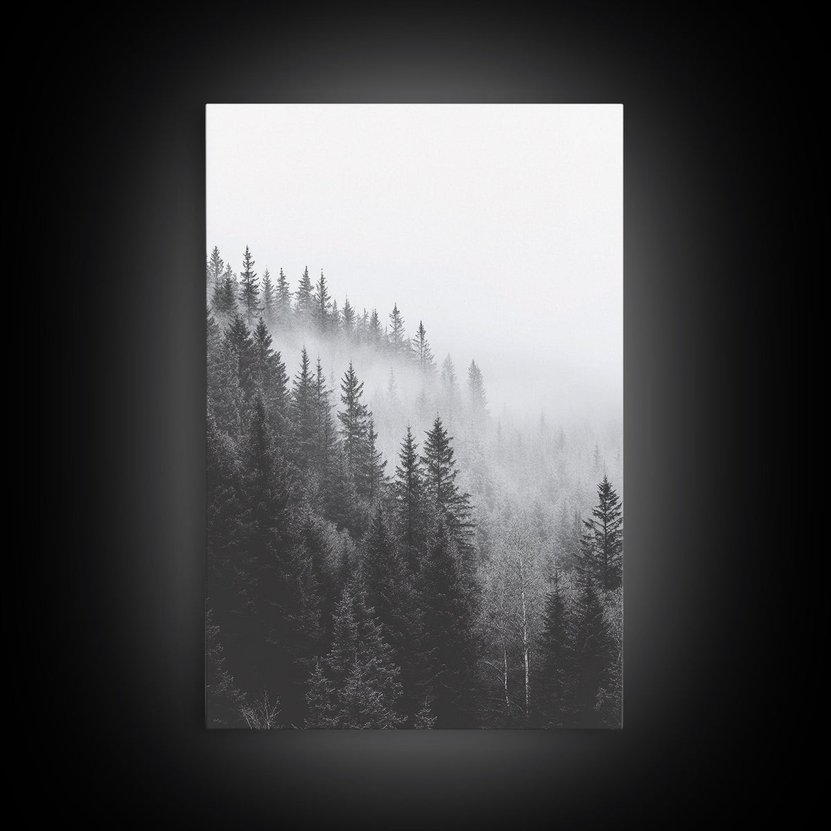 Misty Forest