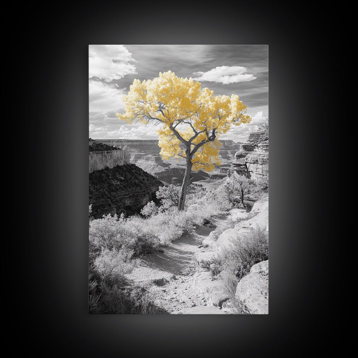 Autumn Canyon Trail