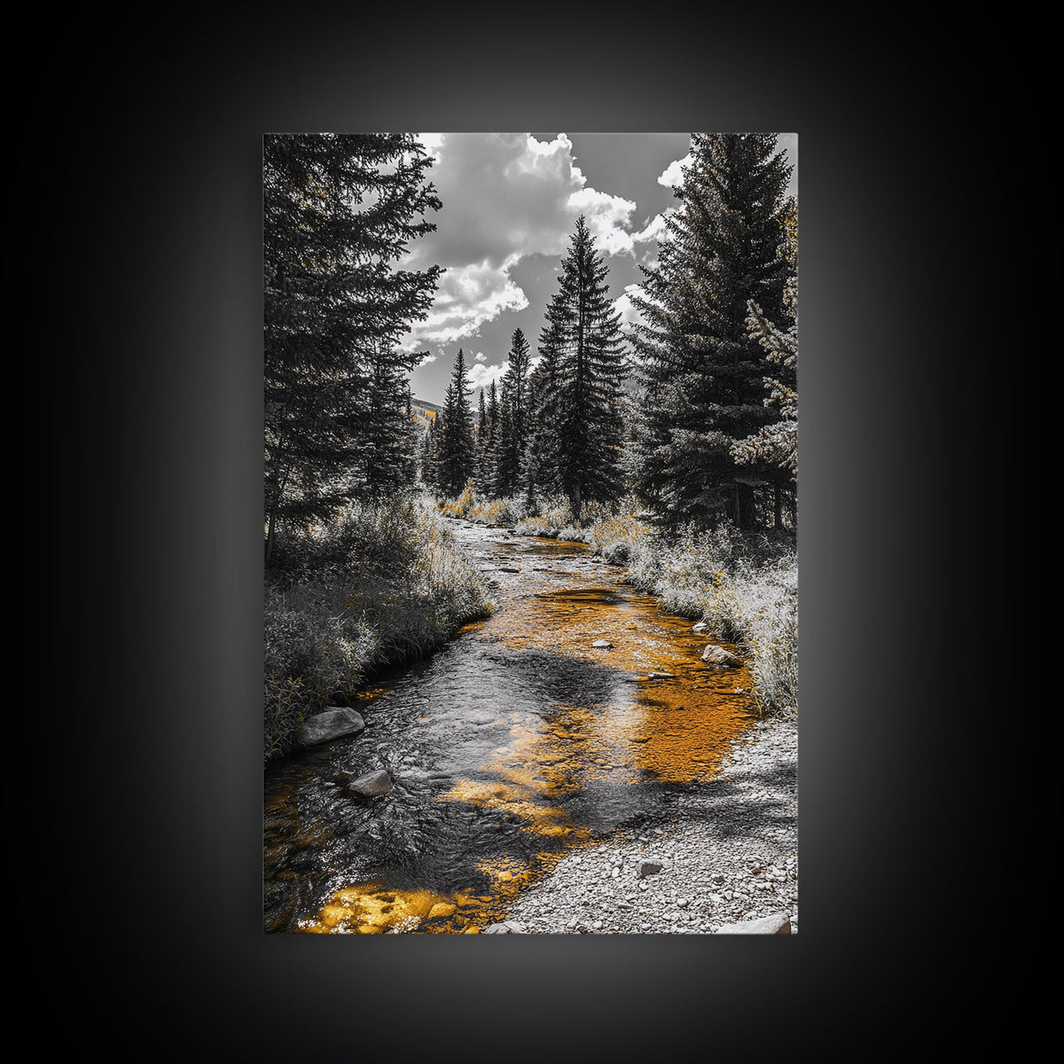 Forest Stream
