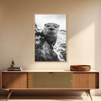Curious Otter