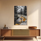 Forest Stream