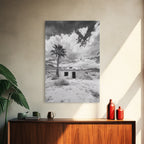 Palm Tree