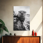 Curious Otter