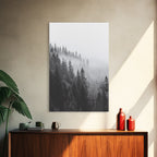 Misty Forest
