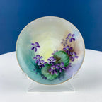 Vintage Porcelain Tea Cup & Saucer