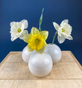 White, Porcelain Modern Vases