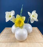 White, Porcelain Modern Vases