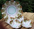 Antique Austrian Hand Painted Porcelain Serving Bowl with Matching Salad Dessert Bowls