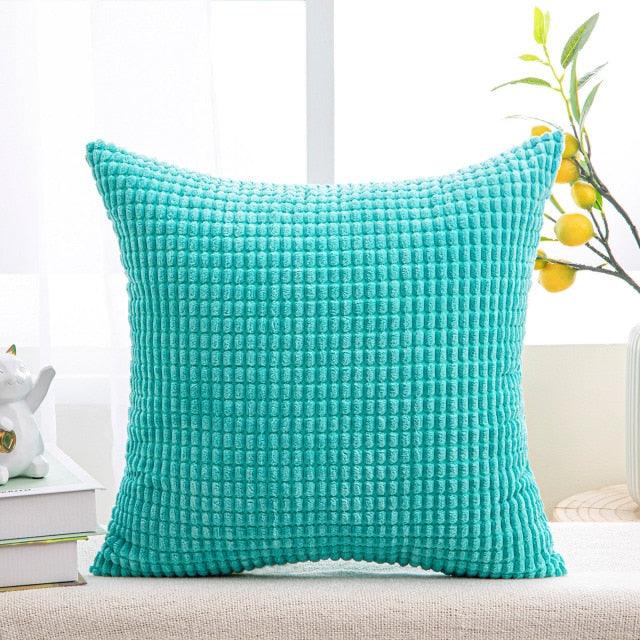 Throw Pillow Cases