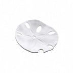 Starfish Soap Dish Leaf Shape Soap Drain Tray
